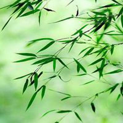 奇幻射击3中文破解版下载