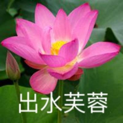 放开那三国2渠道版下载